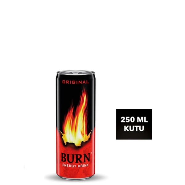 Burn Enerji İçeceği 250 Ml